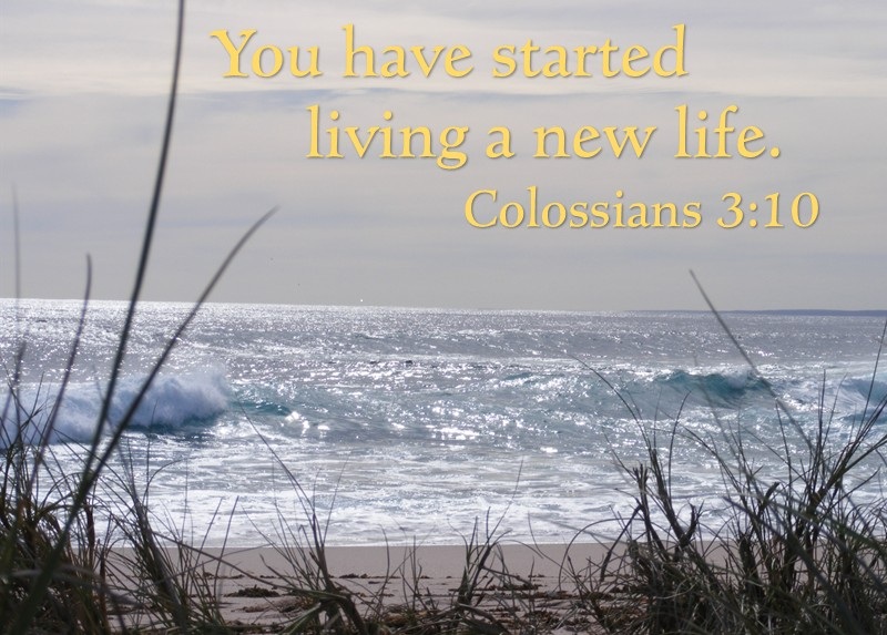 Text: "You have started a new life" with ocean background